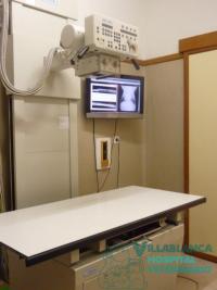 Radiografía y Revelado Digital